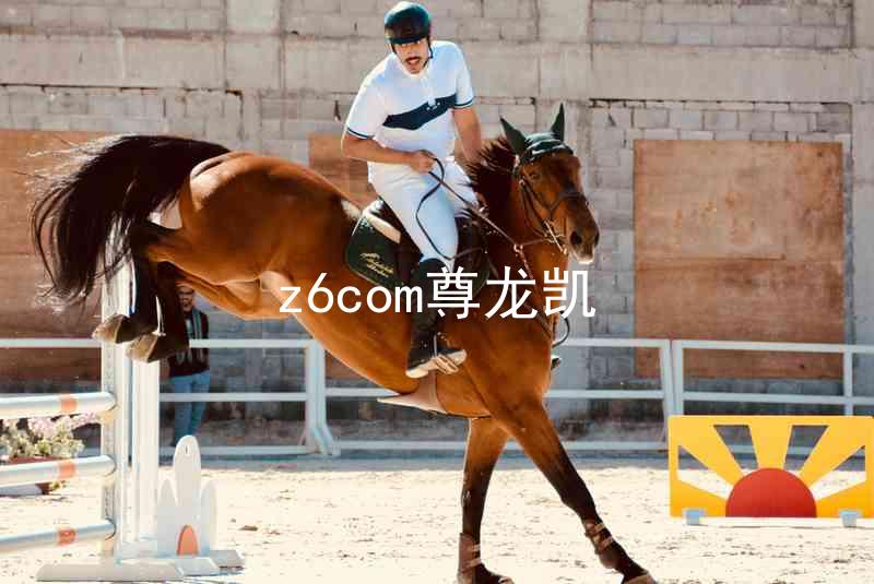 z6com尊龙凯