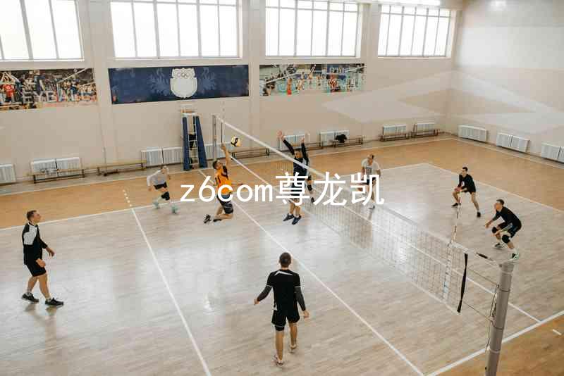 z6com尊龙凯