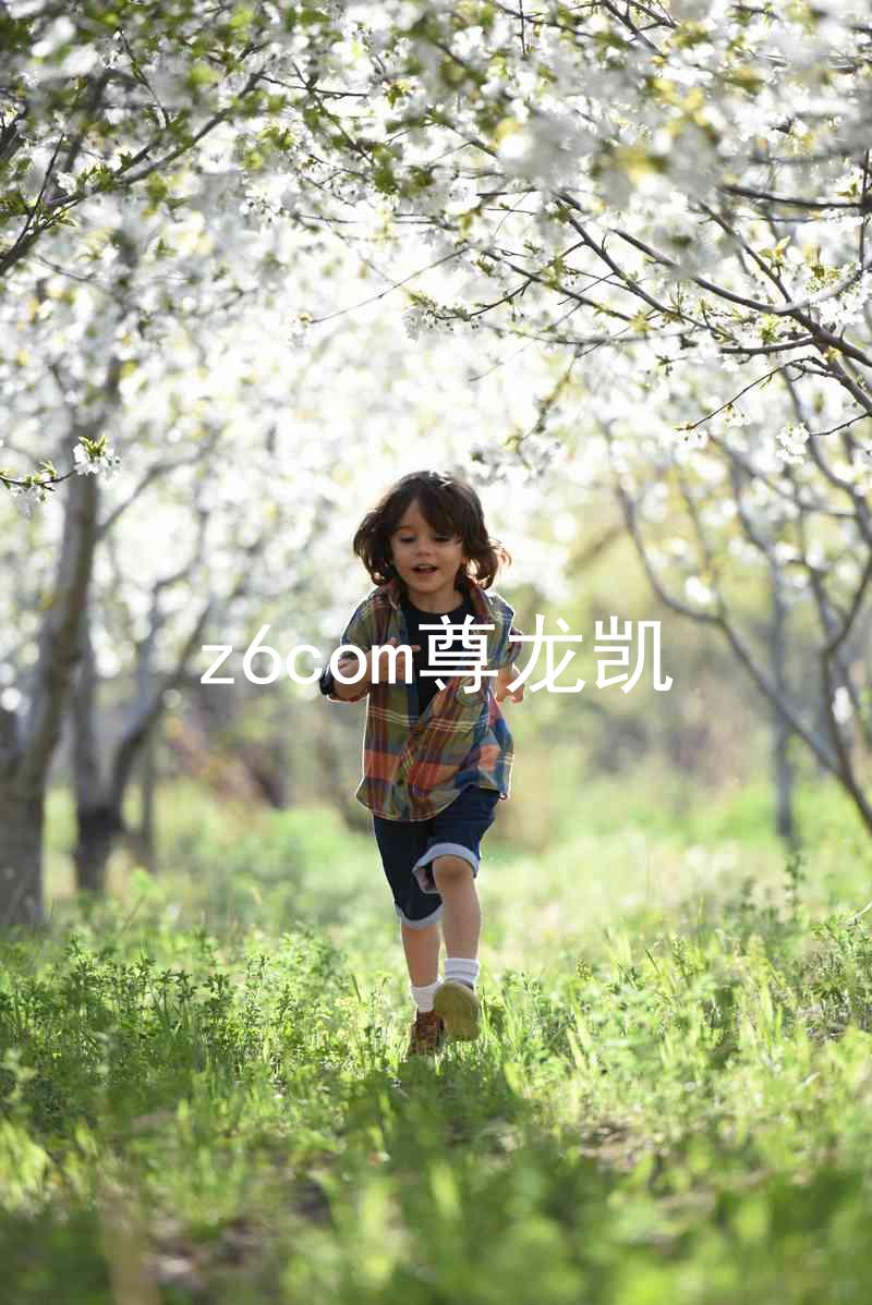 z6com尊龙凯